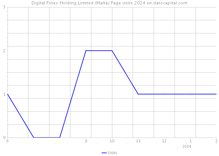 Digital Finex Holding Limited (Malta) Page visits 2024 