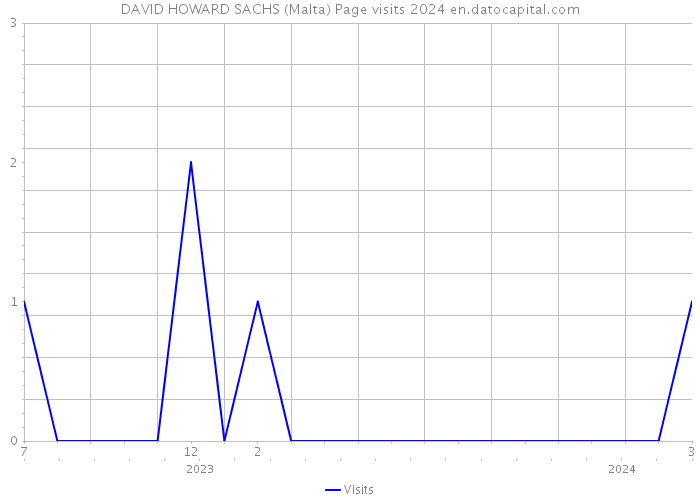 DAVID HOWARD SACHS (Malta) Page visits 2024 