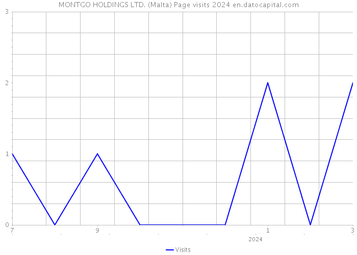 MONTGO HOLDINGS LTD. (Malta) Page visits 2024 