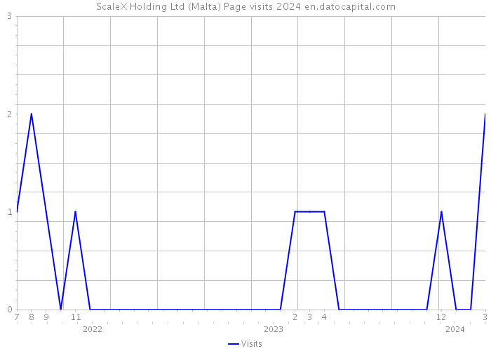 ScaleX Holding Ltd (Malta) Page visits 2024 