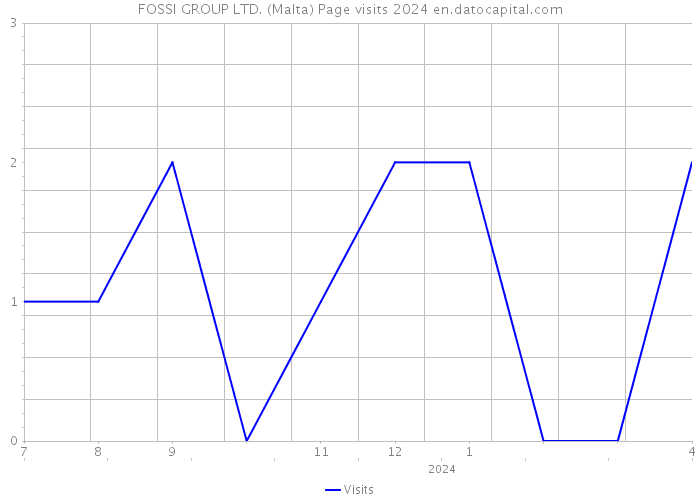 FOSSI GROUP LTD. (Malta) Page visits 2024 
