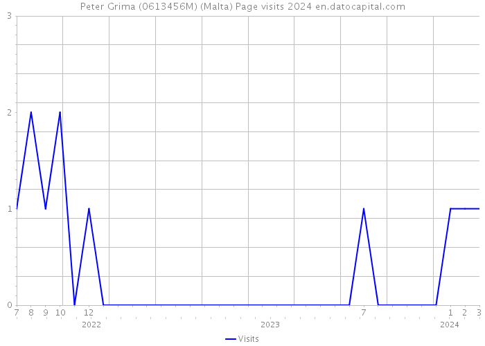 Peter Grima (0613456M) (Malta) Page visits 2024 
