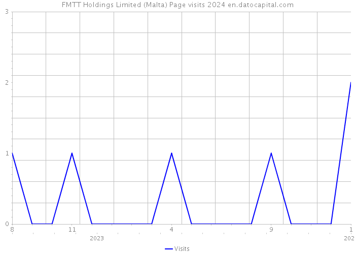 FMTT Holdings Limited (Malta) Page visits 2024 
