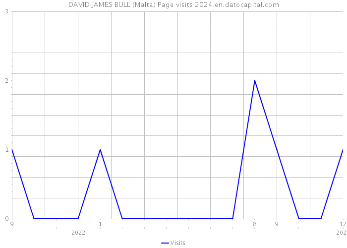 DAVID JAMES BULL (Malta) Page visits 2024 