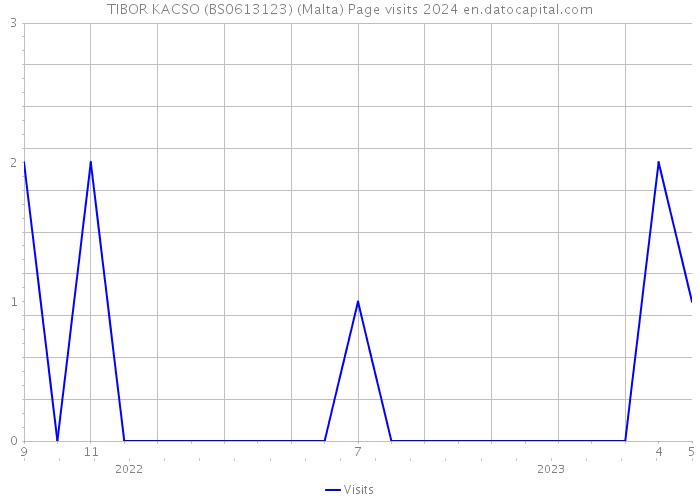 TIBOR KACSO (BS0613123) (Malta) Page visits 2024 