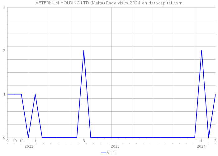AETERNUM HOLDING LTD (Malta) Page visits 2024 