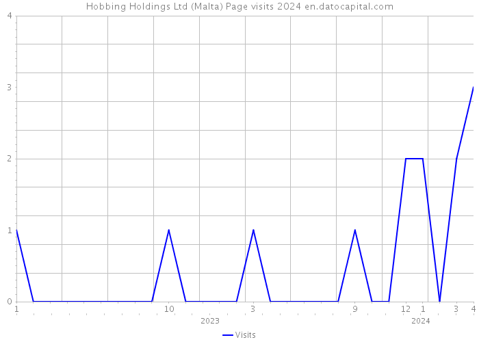 Hobbing Holdings Ltd (Malta) Page visits 2024 