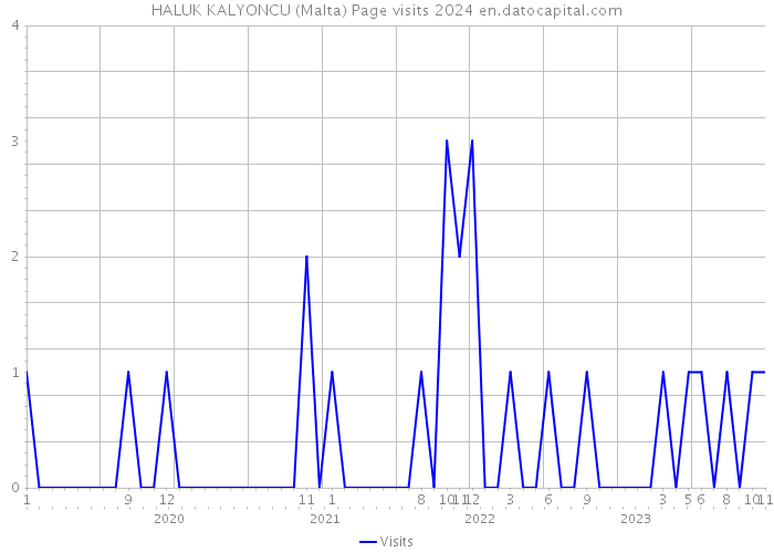 HALUK KALYONCU (Malta) Page visits 2024 