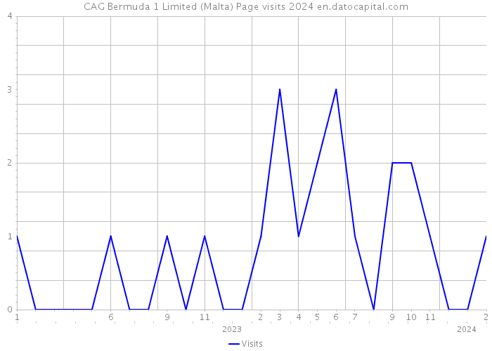 CAG Bermuda 1 Limited (Malta) Page visits 2024 