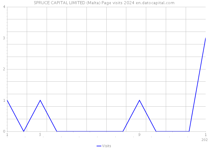 SPRUCE CAPITAL LIMITED (Malta) Page visits 2024 