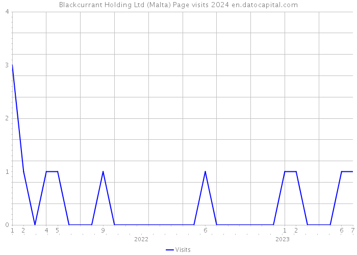 Blackcurrant Holding Ltd (Malta) Page visits 2024 