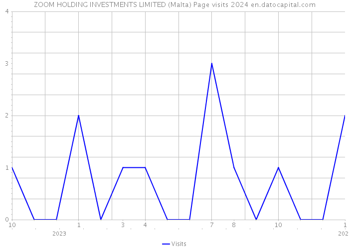ZOOM HOLDING INVESTMENTS LIMITED (Malta) Page visits 2024 