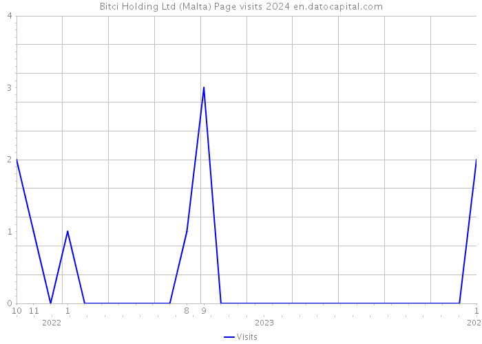 Bitci Holding Ltd (Malta) Page visits 2024 