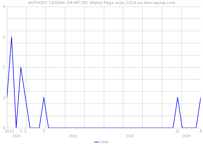 ANTHONY CASSAR (344872M) (Malta) Page visits 2024 