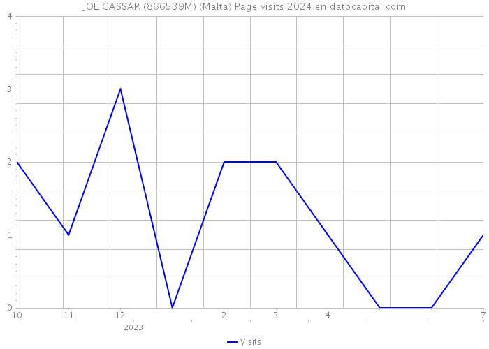 JOE CASSAR (866539M) (Malta) Page visits 2024 