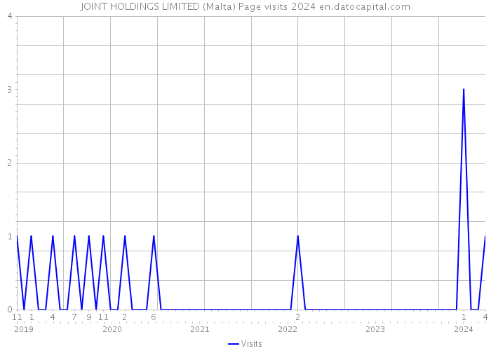 JOINT HOLDINGS LIMITED (Malta) Page visits 2024 