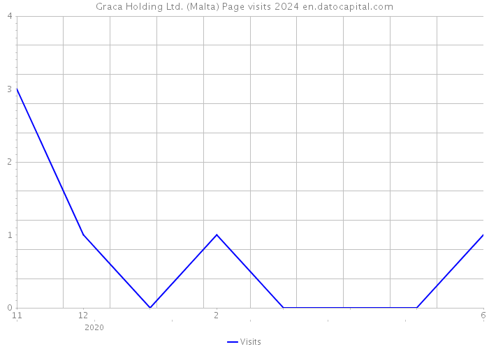 Graca Holding Ltd. (Malta) Page visits 2024 