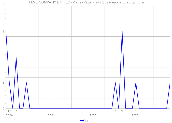 TAME COMPANY LIMITED (Malta) Page visits 2024 