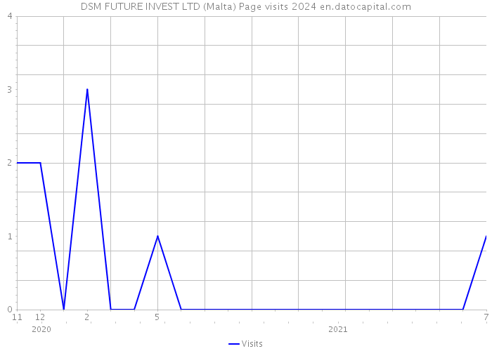 DSM FUTURE INVEST LTD (Malta) Page visits 2024 