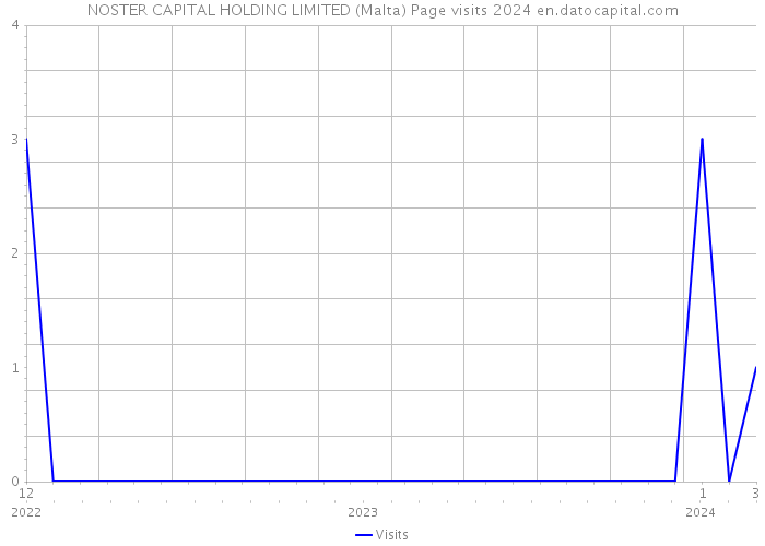NOSTER CAPITAL HOLDING LIMITED (Malta) Page visits 2024 