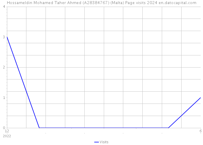 Hossameldin Mohamed Taher Ahmed (A28384767) (Malta) Page visits 2024 
