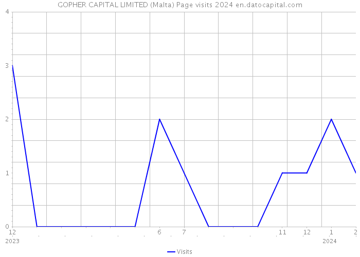 GOPHER CAPITAL LIMITED (Malta) Page visits 2024 