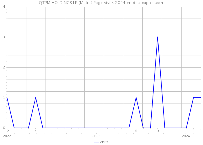QTPM HOLDINGS LP (Malta) Page visits 2024 