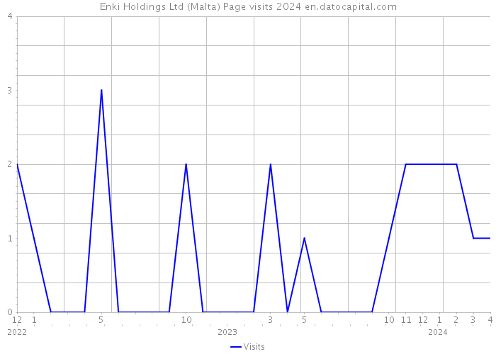 Enki Holdings Ltd (Malta) Page visits 2024 