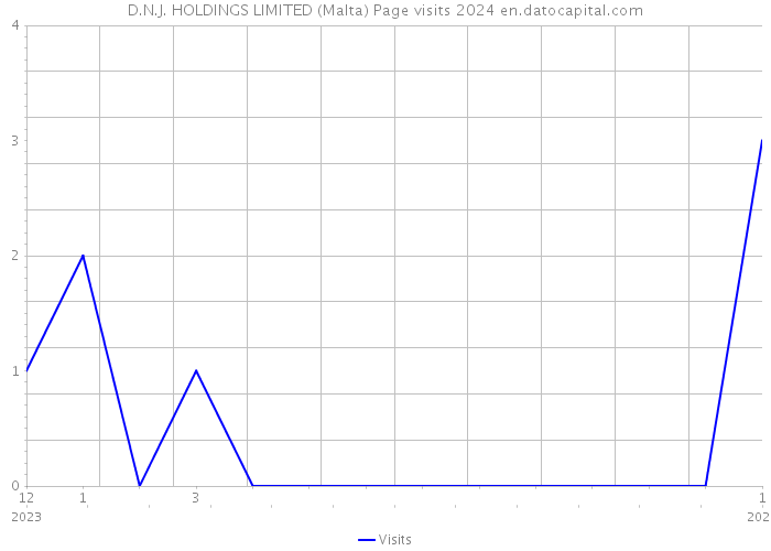 D.N.J. HOLDINGS LIMITED (Malta) Page visits 2024 
