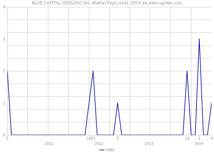 BLUE CAPITAL HODLING SAL (Malta) Page visits 2024 