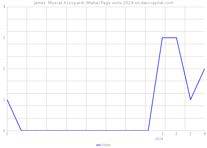 James Muscat Azzopardi (Malta) Page visits 2024 