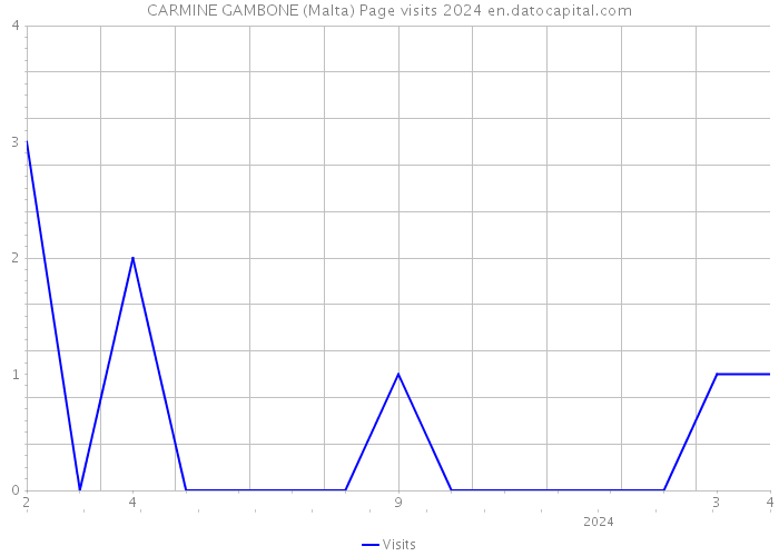 CARMINE GAMBONE (Malta) Page visits 2024 