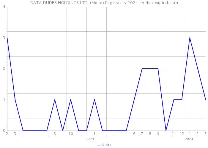 DATA DUDES HOLDINGS LTD. (Malta) Page visits 2024 