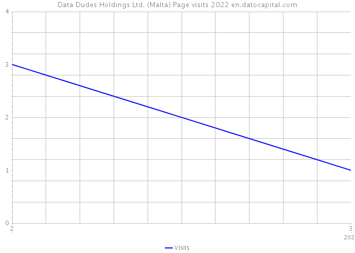Data Dudes Holdings Ltd. (Malta) Page visits 2022 