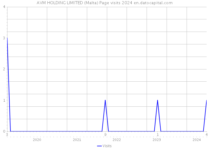 AVM HOLDING LIMITED (Malta) Page visits 2024 