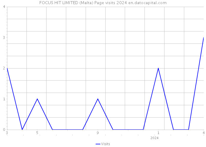 FOCUS HIT LIMITED (Malta) Page visits 2024 