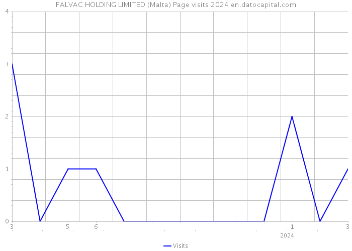 FALVAC HOLDING LIMITED (Malta) Page visits 2024 
