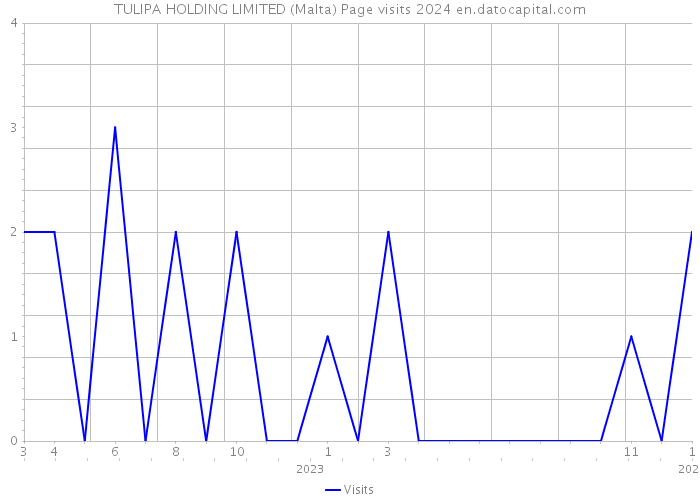 TULIPA HOLDING LIMITED (Malta) Page visits 2024 