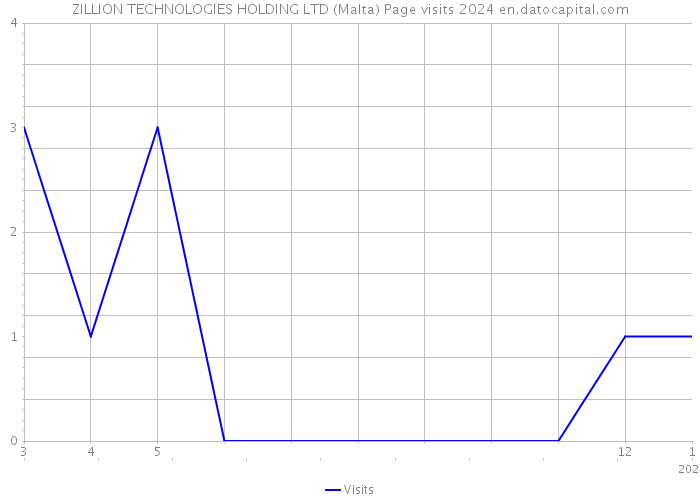 ZILLION TECHNOLOGIES HOLDING LTD (Malta) Page visits 2024 