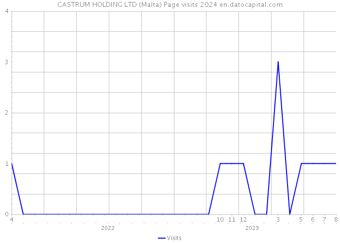 CASTRUM HOLDING LTD (Malta) Page visits 2024 