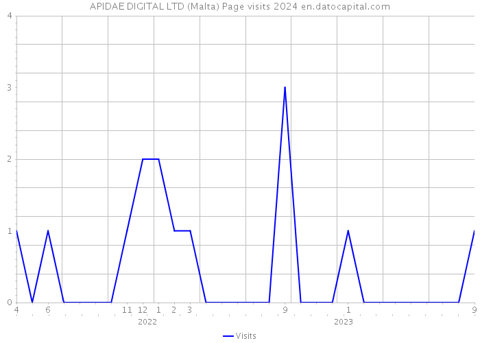 APIDAE DIGITAL LTD (Malta) Page visits 2024 