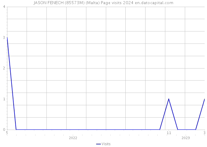 JASON FENECH (85573M) (Malta) Page visits 2024 
