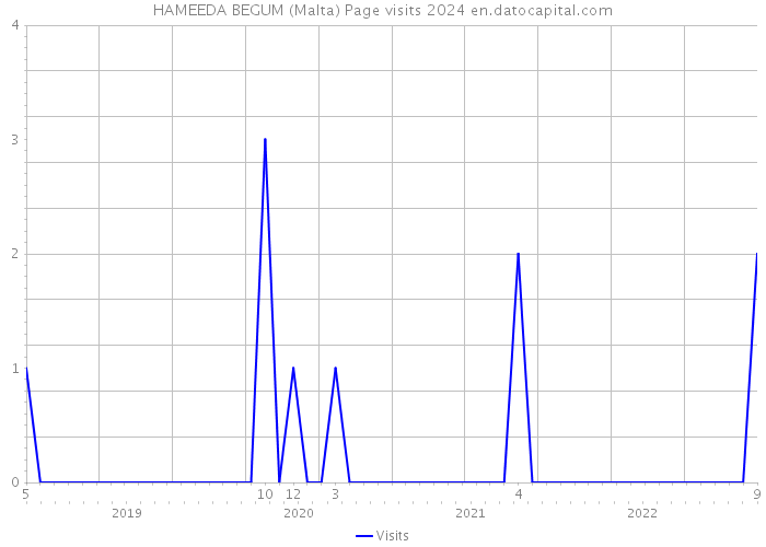 HAMEEDA BEGUM (Malta) Page visits 2024 
