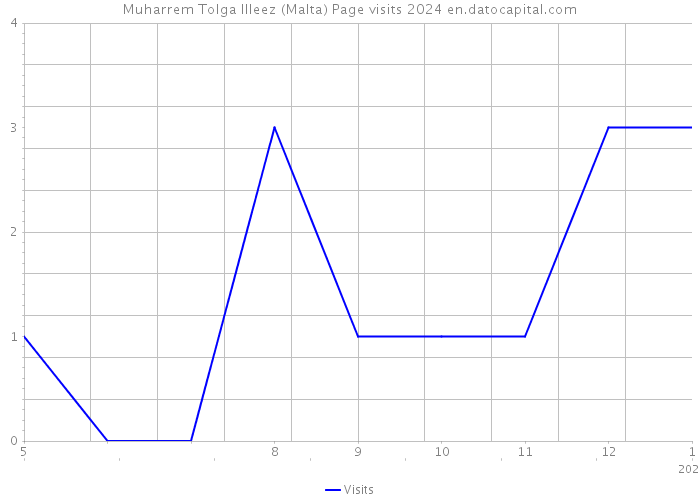 Muharrem Tolga Illeez (Malta) Page visits 2024 