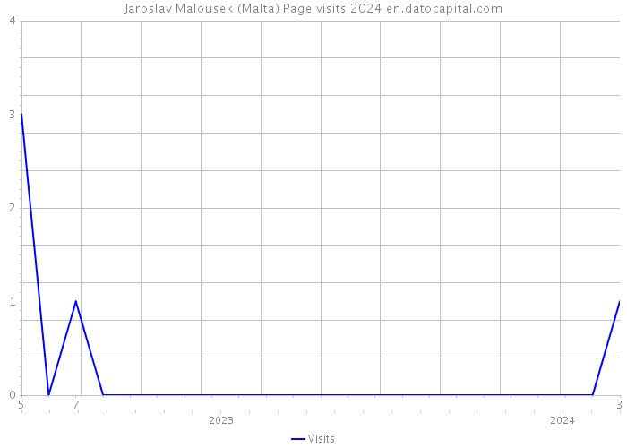 Jaroslav Malousek (Malta) Page visits 2024 