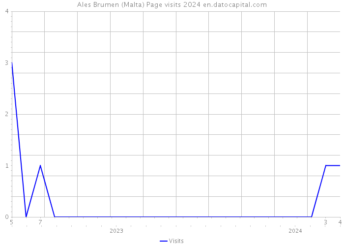 Ales Brumen (Malta) Page visits 2024 