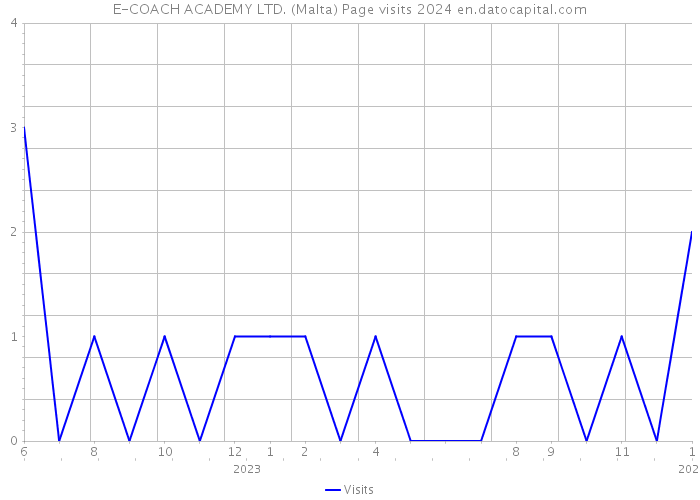 E-COACH ACADEMY LTD. (Malta) Page visits 2024 