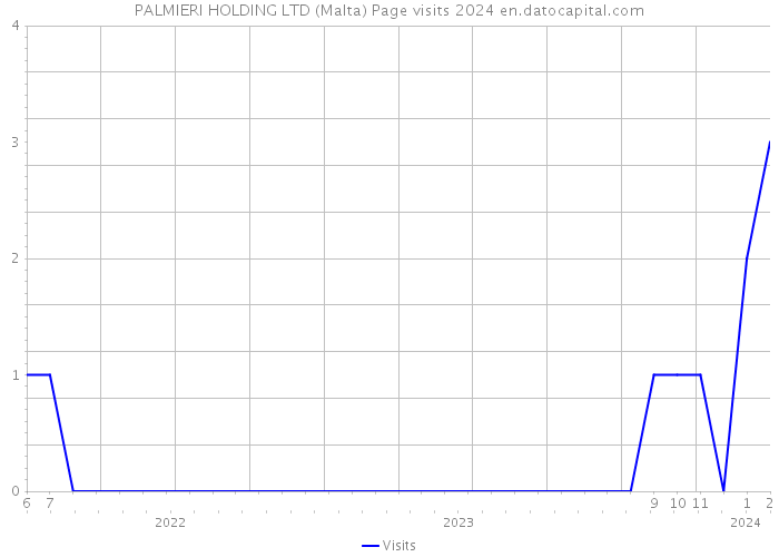 PALMIERI HOLDING LTD (Malta) Page visits 2024 