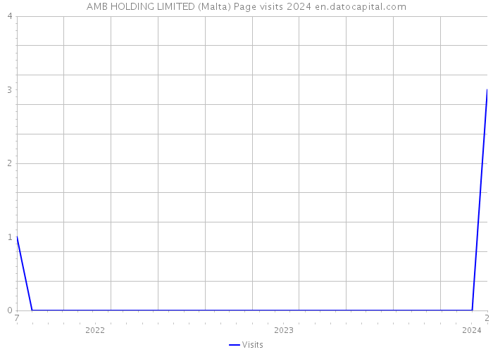 AMB HOLDING LIMITED (Malta) Page visits 2024 