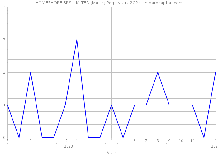 HOMESHORE BRS LIMITED (Malta) Page visits 2024 